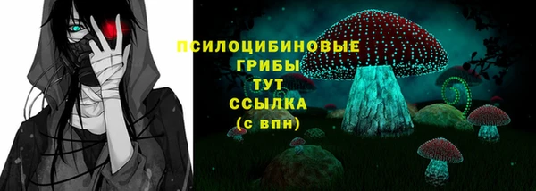таблы Богородицк