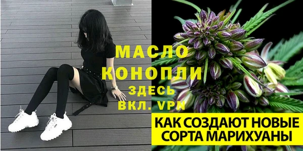 таблы Богородицк