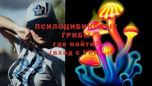таблы Богородицк