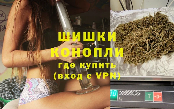 бошки Богданович