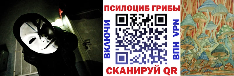 Псилоцибиновые грибы Psilocybe  Севск 