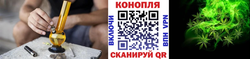 закладка  Севск  Бошки Шишки план 